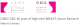 GABG-GBG 40 years of high level BREAST Cancer Research
